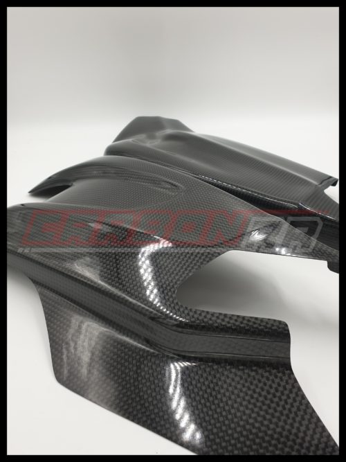 Protezioni Cover Carbonio Forcellone Bmw S1000RR 2015-2018